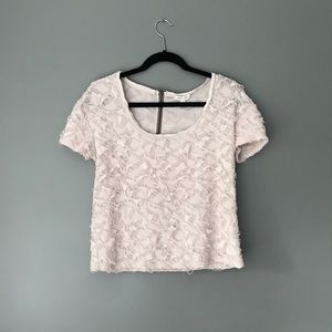 Silence + Noise ShortSleeved Lace Crop Top